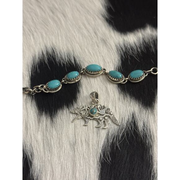 Native American Sterling Silver Turquoise Spiny Armadillo Picto Story Pendant - Picture 8 of 8